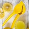 Heavy Duty Metal Orange Citrus Lemon Squeezer Manual Fruit Juicer Press Tool